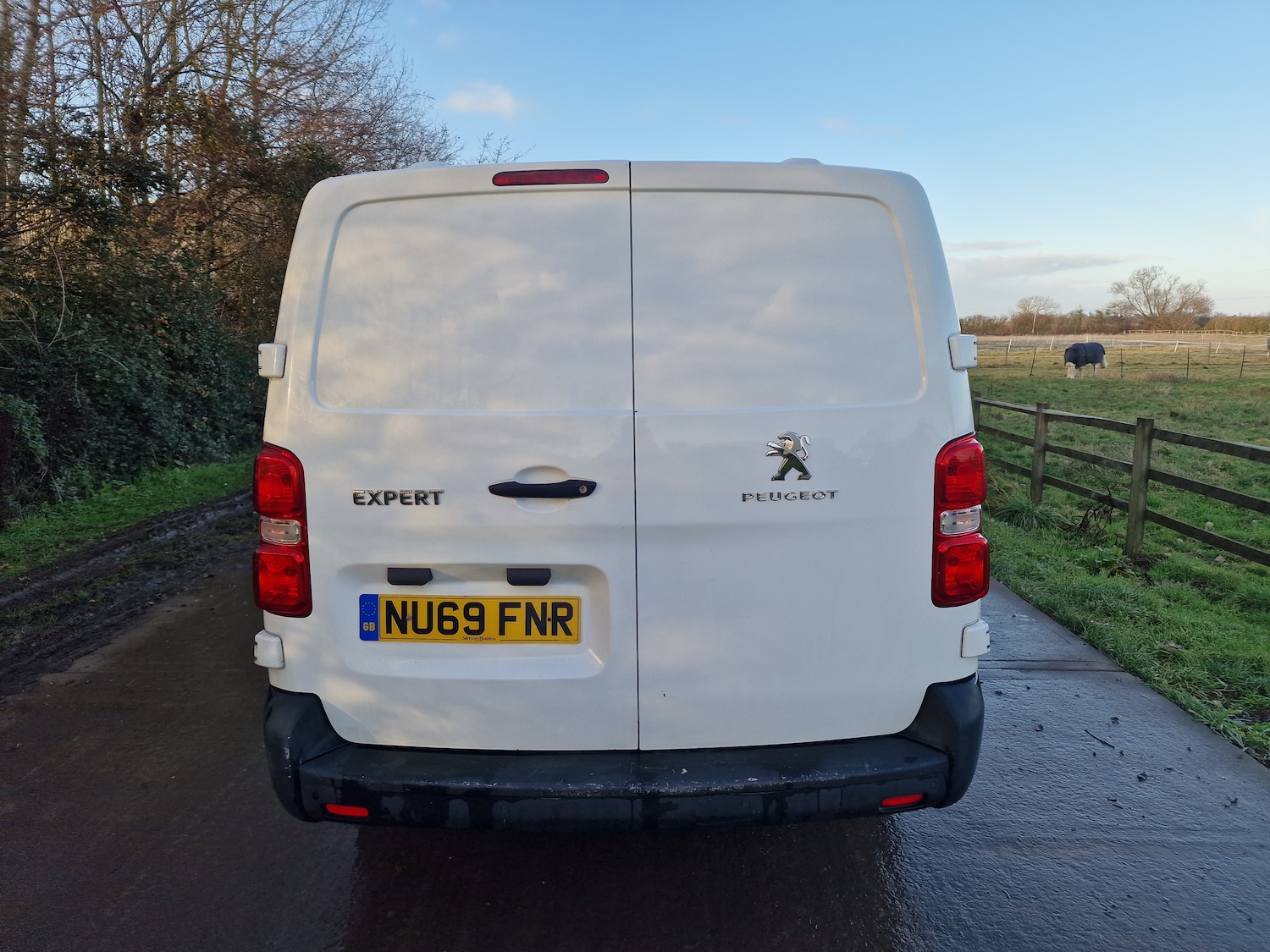 Used Peugeot Expert 2019 for sale - 76895297: Photo 6