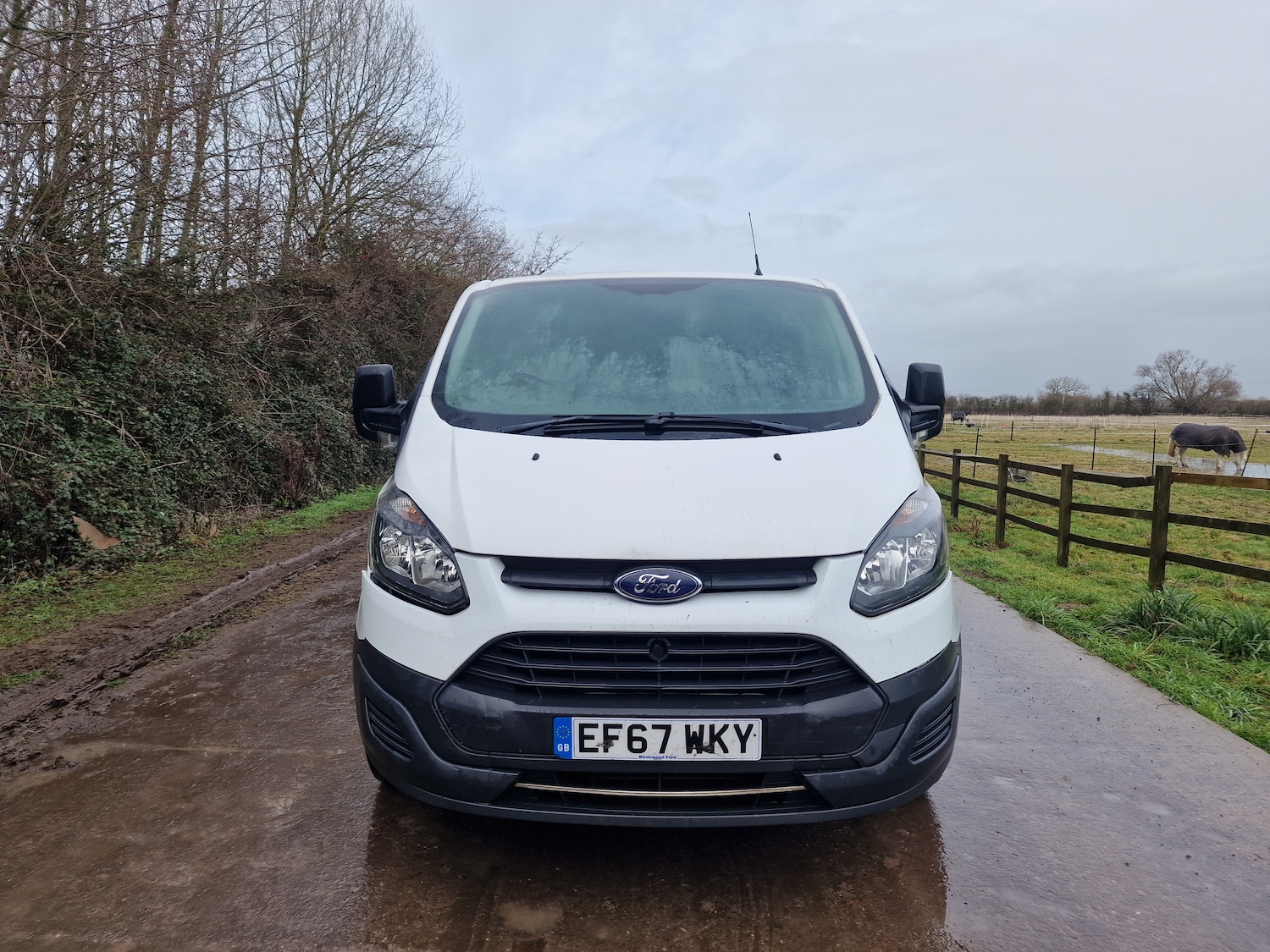 Used Ford Transit Custom 2017 for sale - 77172935: Photo 3