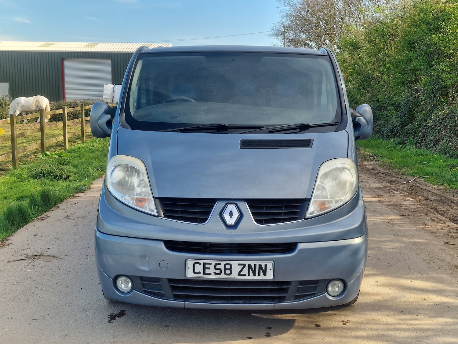Used Renault Trafic 2008 for sale - 78163813: Photo 3
