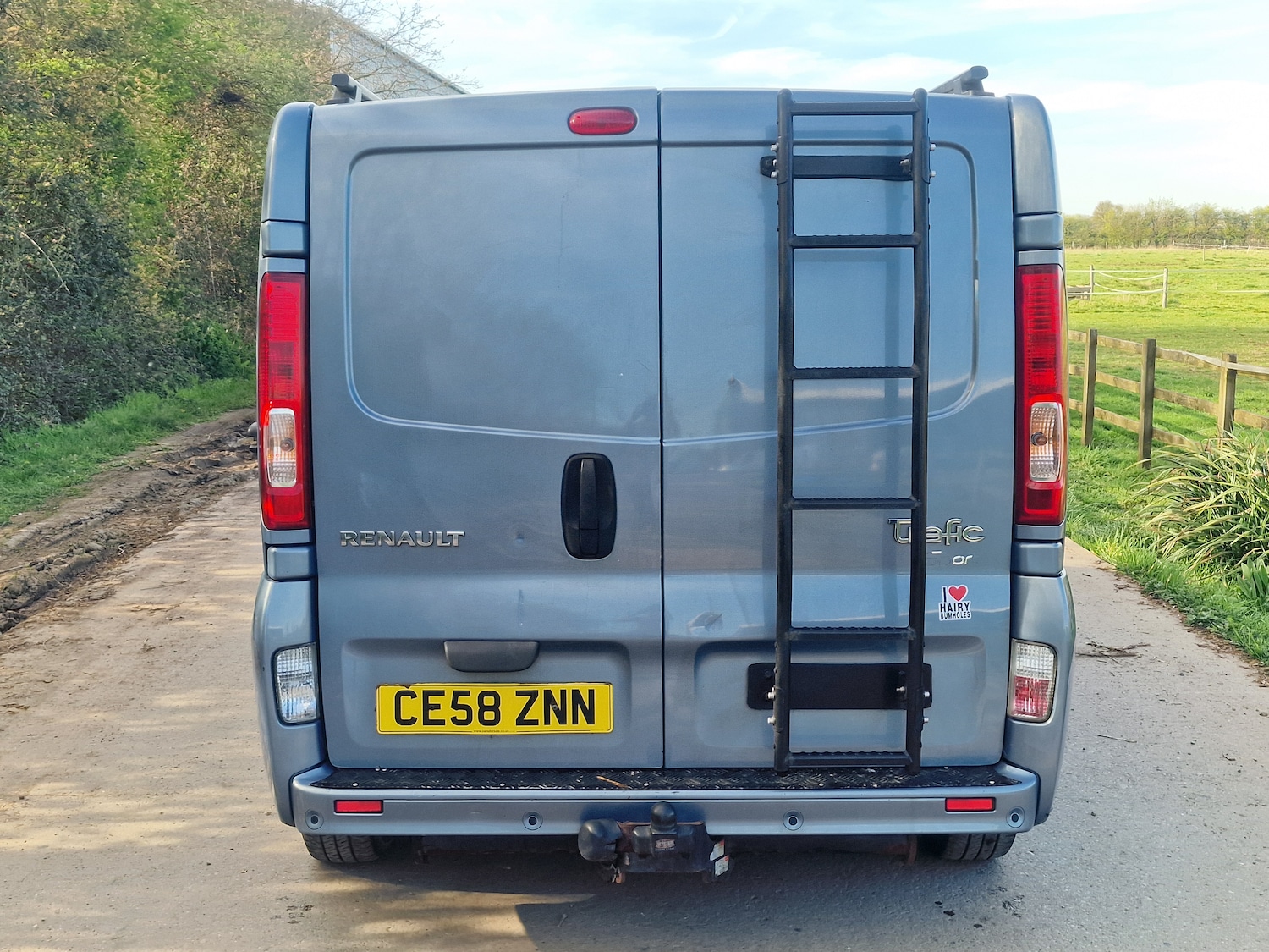 Used Renault Trafic 2008 for sale - 78163813: Photo 7