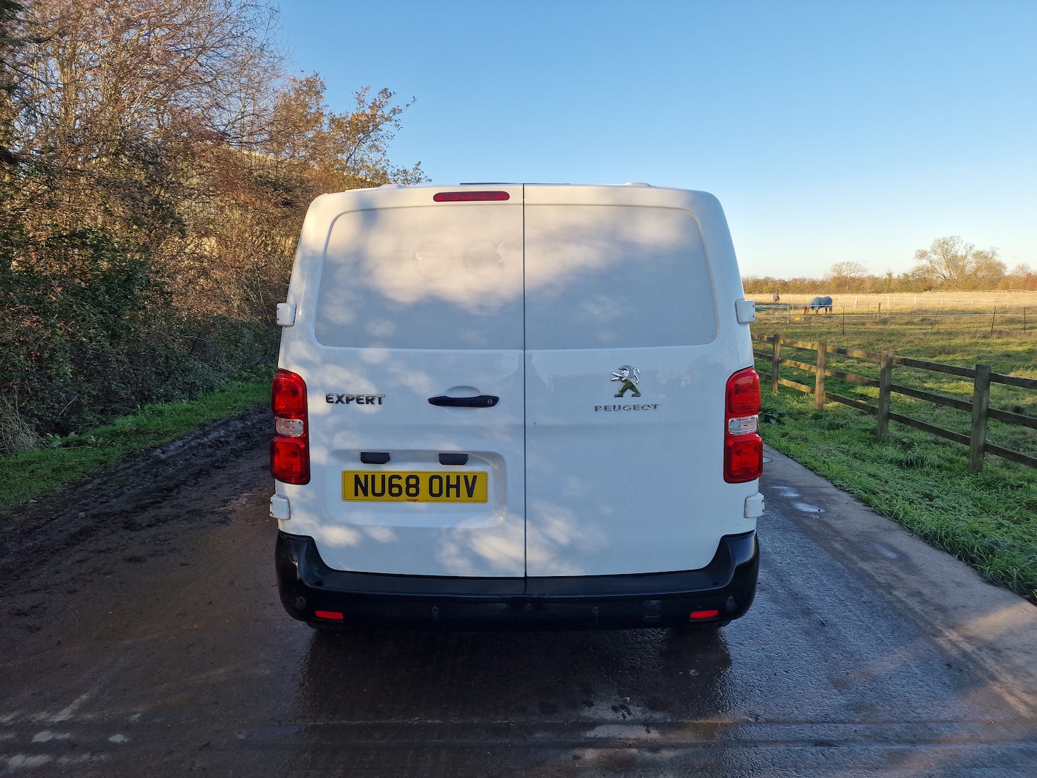 Used Peugeot Expert 2018 for sale - 76696261: Photo 7