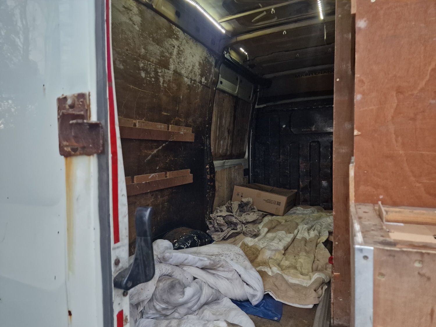 Used Iveco Daily 2008 for sale - 76482830: Photo 17