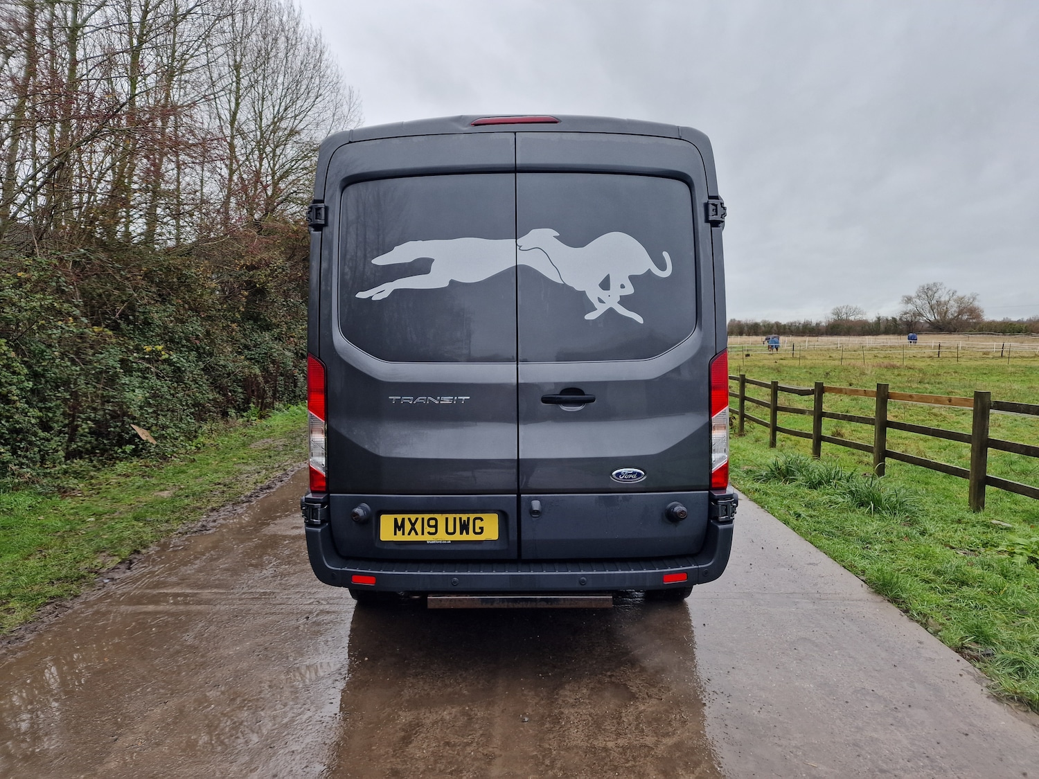 Used Ford Transit 2019 for sale - 76808272: Photo 7