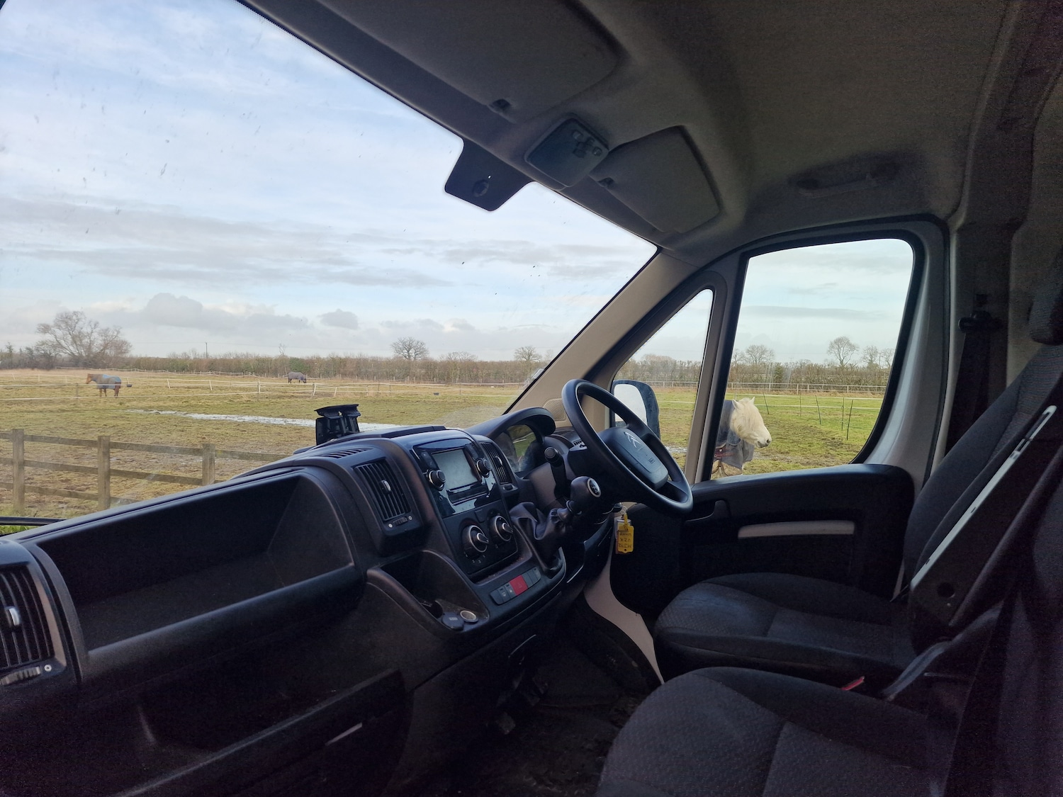 Used Citroen Relay 2022 for sale - 78084644: Photo 14