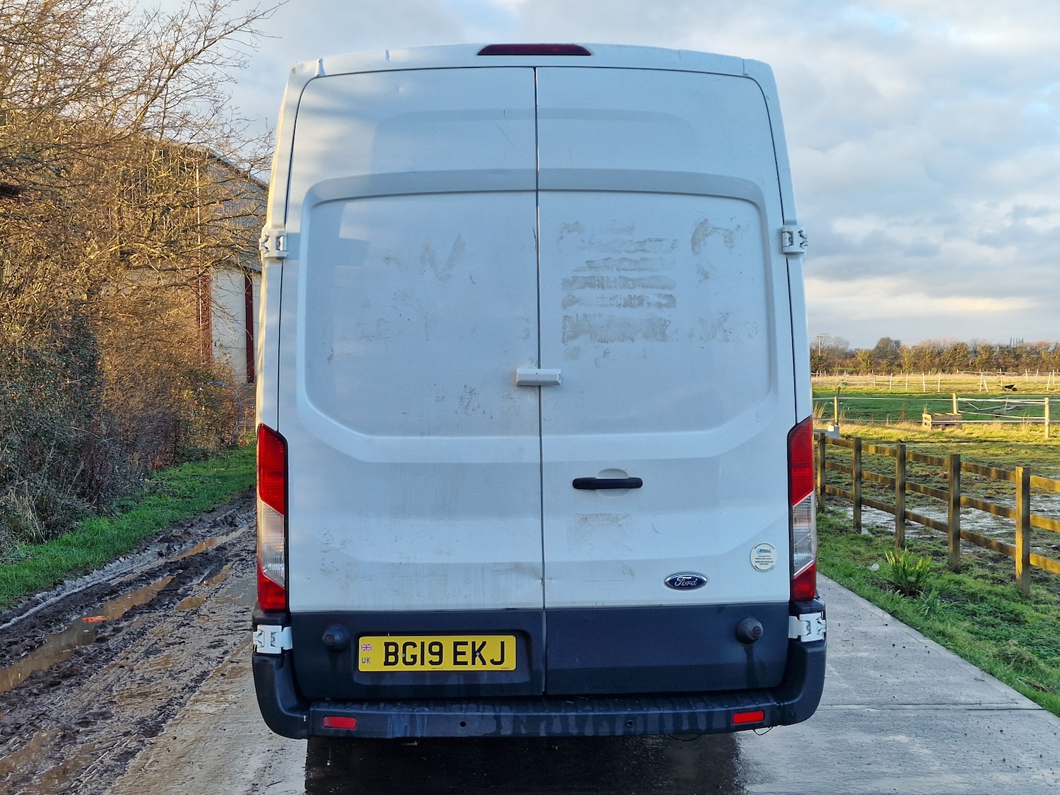 Used Ford Transit 2019 for sale - 77631173: Photo 6
