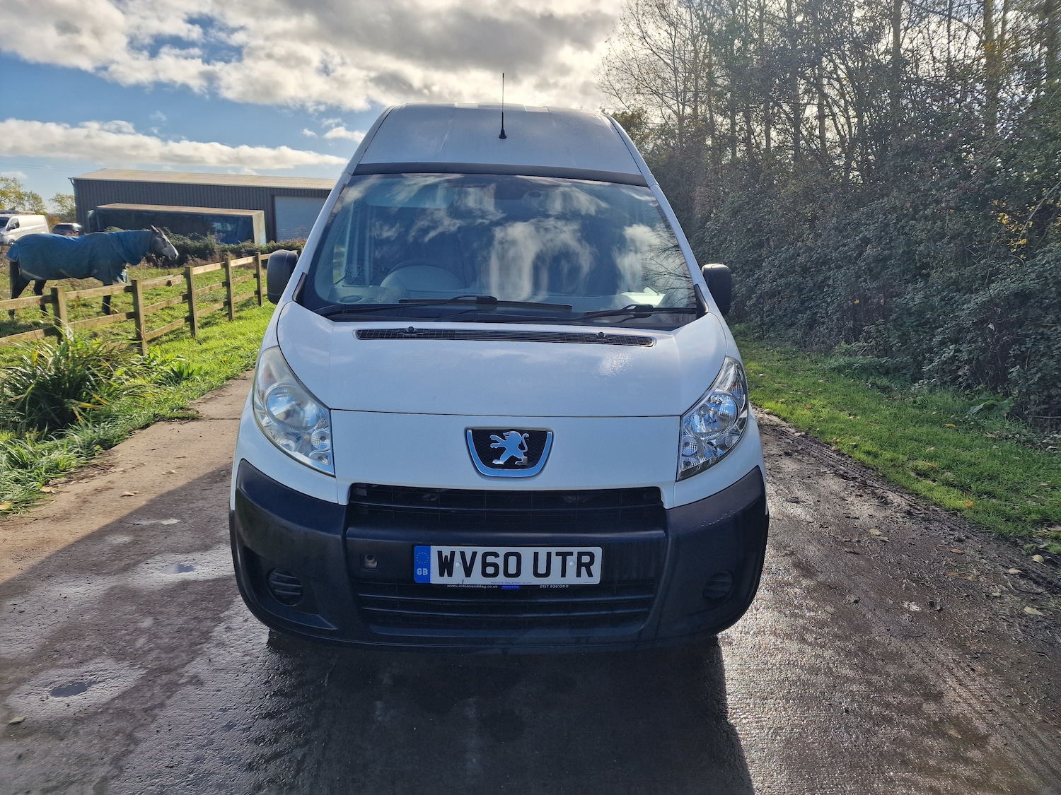 Used Peugeot Expert 2010 for sale - 76366665: Photo 3