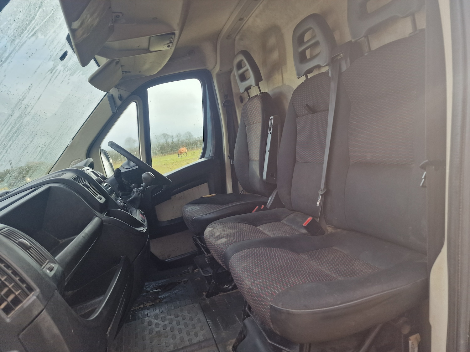 Used Citroen Relay 2015 for sale - 77367269: Photo 14