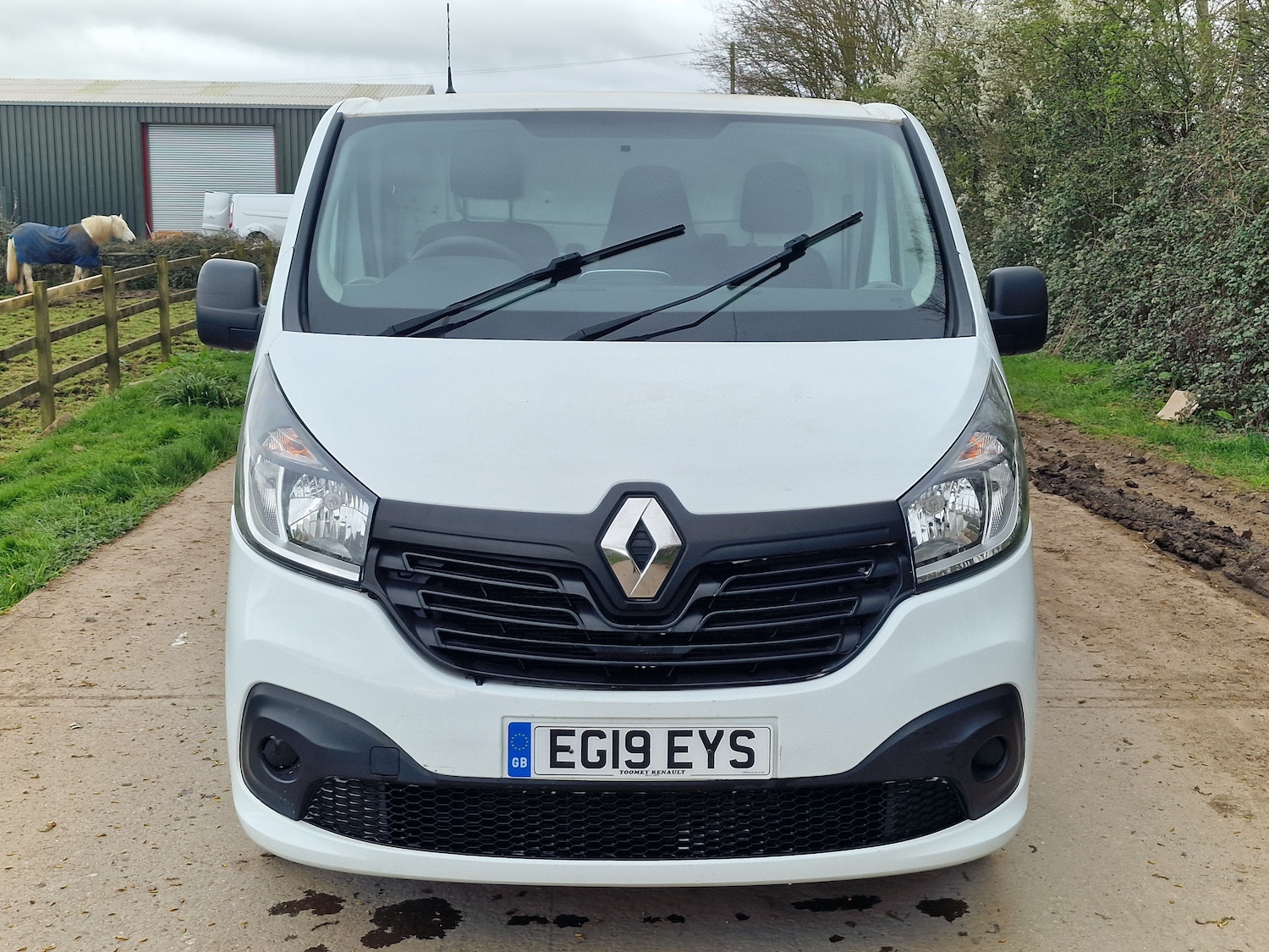 Used Renault Trafic 2019 for sale - 78004829: Photo 3