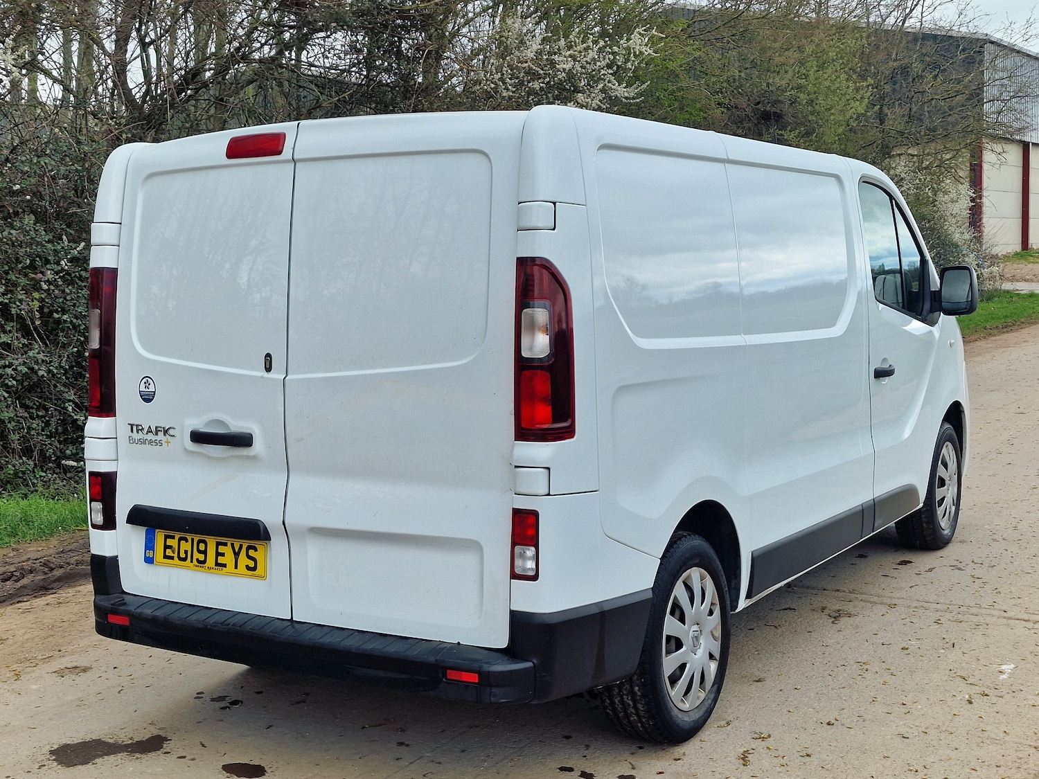 Used Renault Trafic 2019 for sale - 78004829: Photo 5