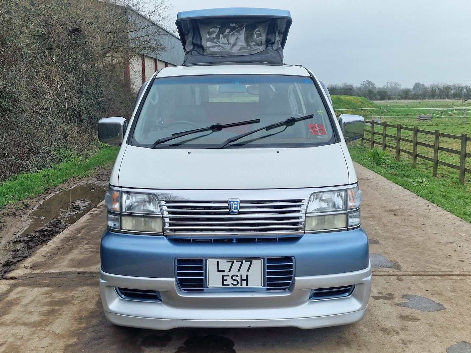Used Nissan Elgrand 2010 for sale - 77878778: Photo 3