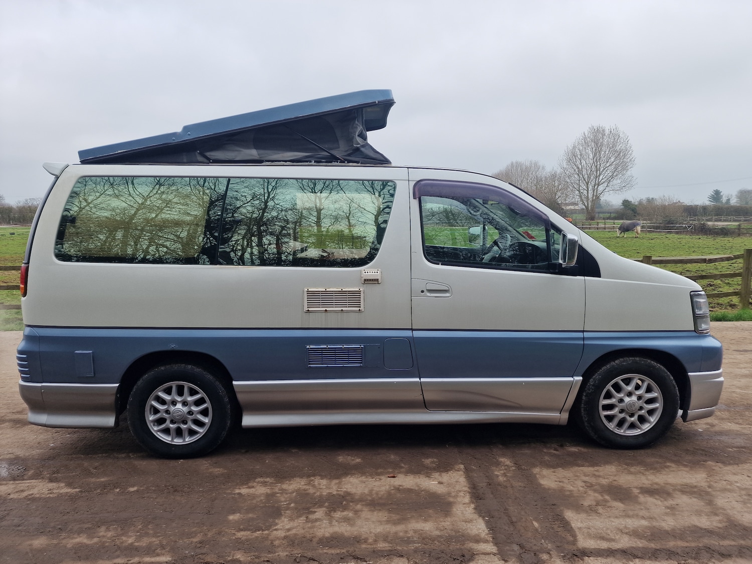 Used Nissan Elgrand 2010 for sale - 77878778: Photo 5