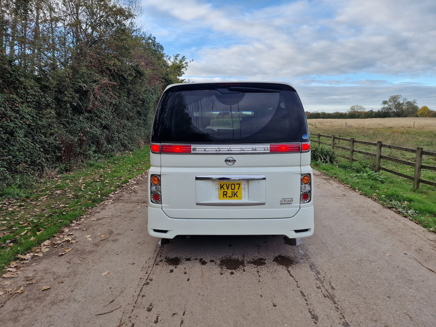 Used Nissan Elgrand 2021 for sale - 76694122: Photo 7