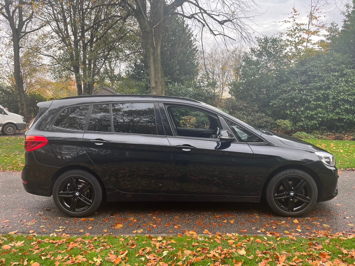 Used BMW 2 Series 2016 for sale - 76548079: Photo 3