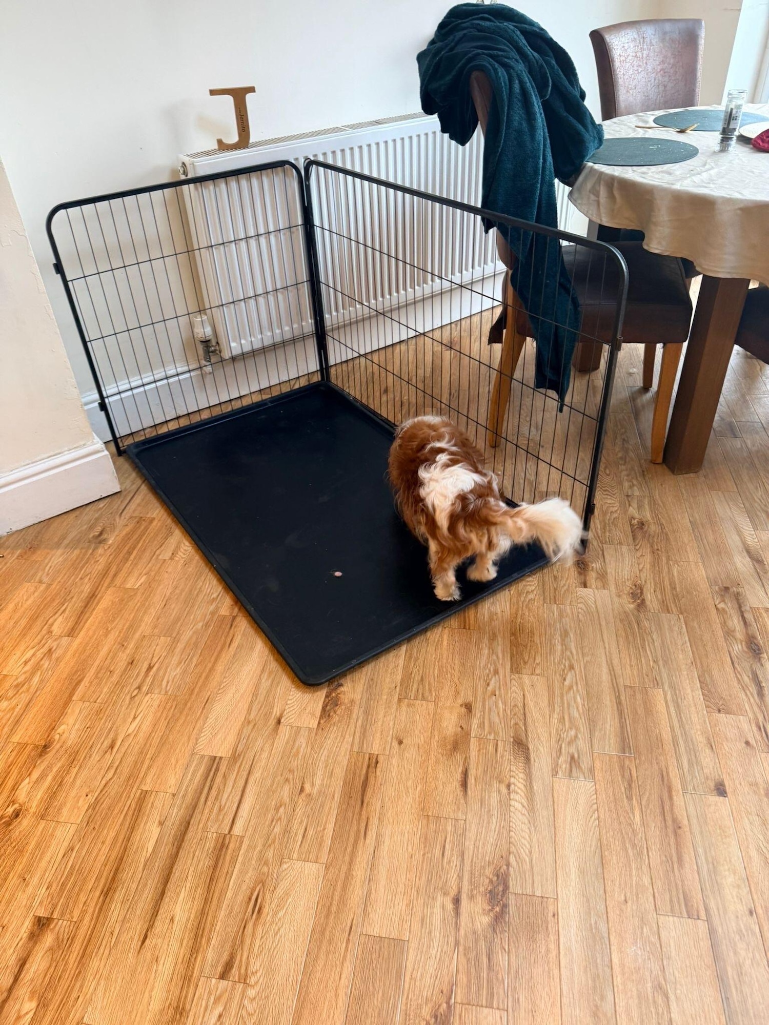 Used Land Rover Range Rover Sport 2013 for sale - 77029144: Photo 2