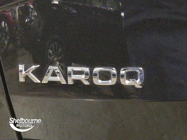 Used Skoda Karoq 2024 for sale - 76977190: Photo 20