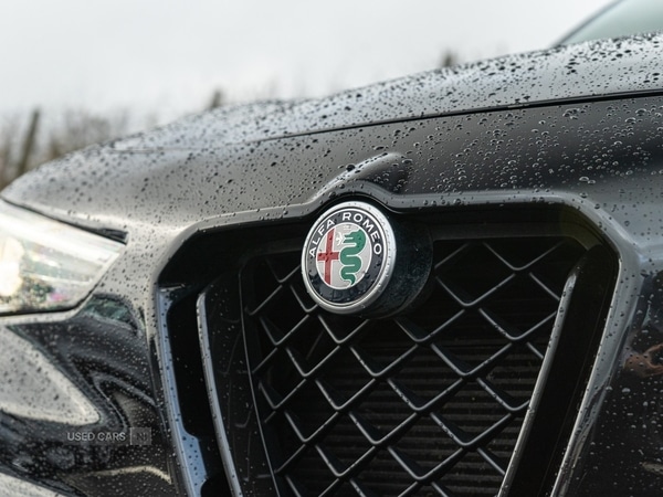 Used Alfa Romeo Stelvio 2021 for sale - 77898826: Photo 10