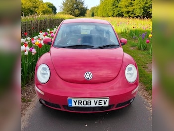 Used Volkswagen Beetle 2008 for sale - 76729025: Photo