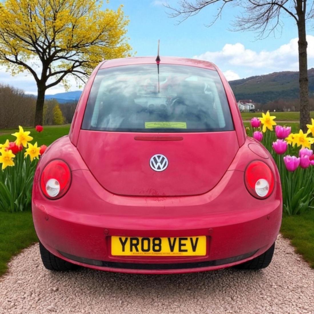 Used Volkswagen Beetle 2008 for sale - 76729025: Photo 7