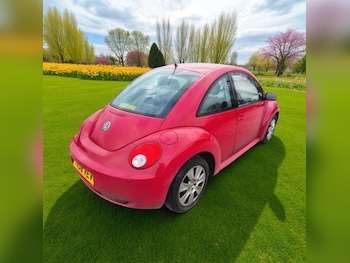Used Volkswagen Beetle 2008 for sale - 75269158: Photo