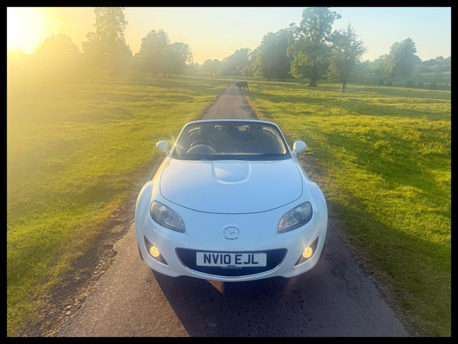 Used Mazda MX-5 2010 for sale - 76108865: Photo 12