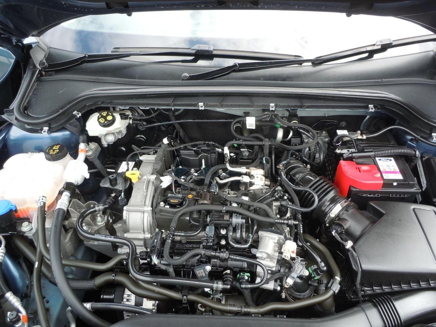 Used Ford Focus 2022 for sale - 76793838: Photo 12