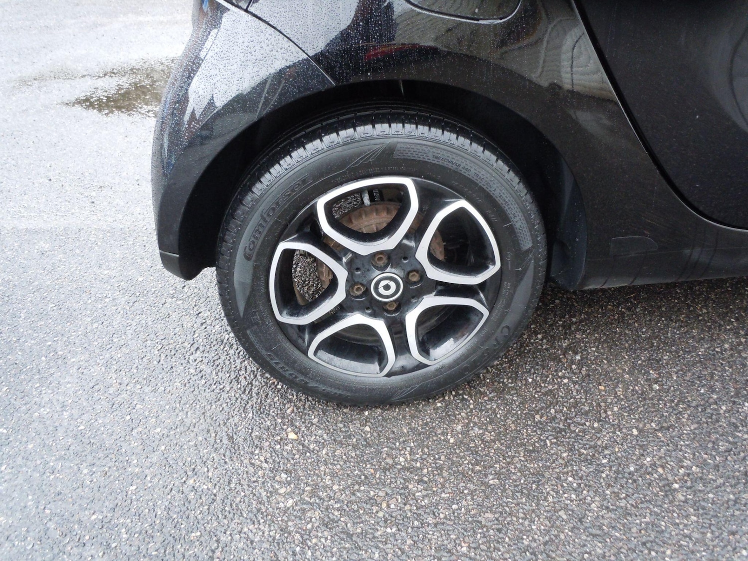 Used smart fortwo 2016 for sale - 76561053: Photo 6