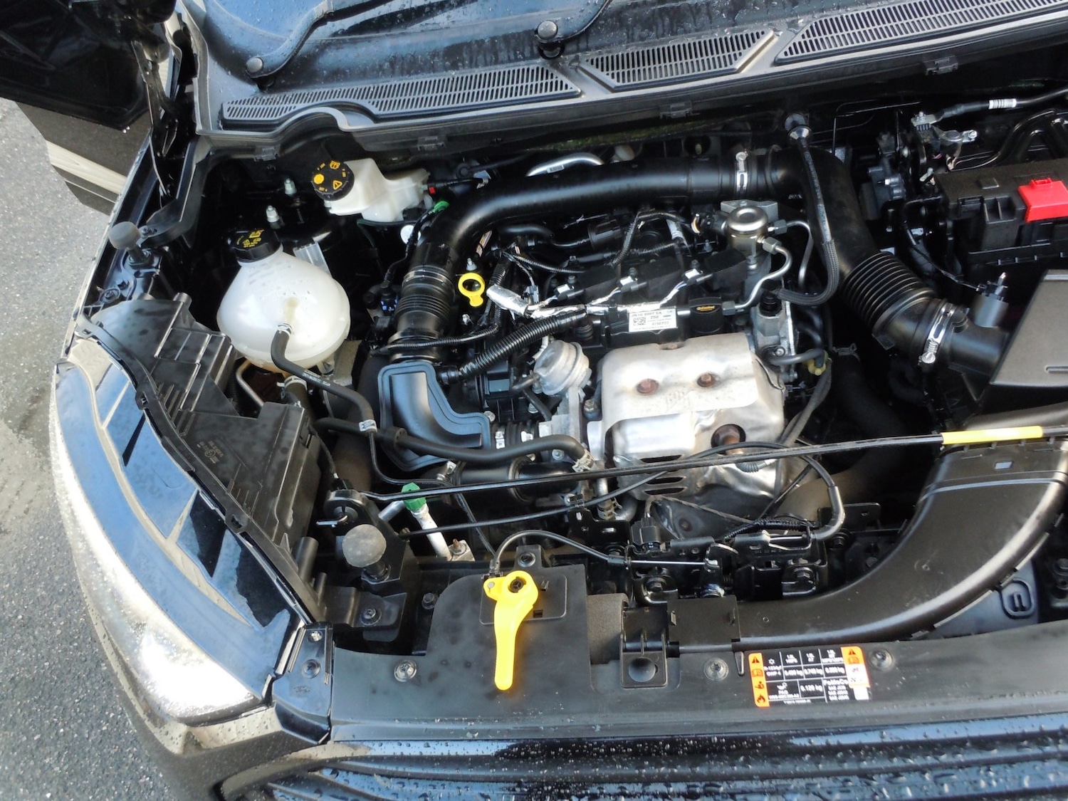 Used Ford Ecosport 2022 for sale - 77697509: Photo 10