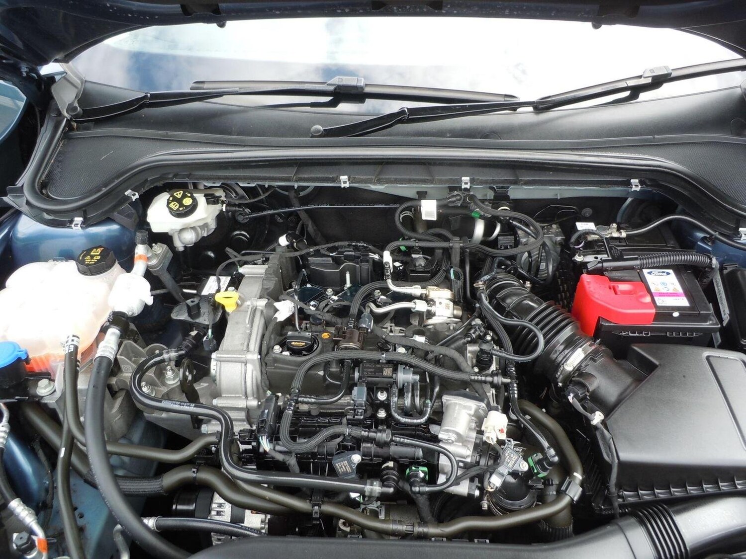 Used Ford Focus 2022 for sale - 76640059: Photo 12