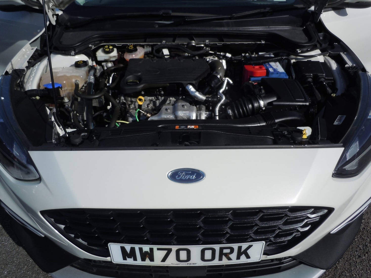 Used Ford Focus 2021 for sale - 77953910: Photo 23