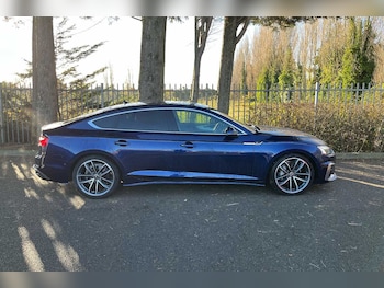 Used Audi A5 2023 for sale - 76500856: Photo