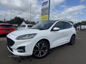 Ford - Kuga