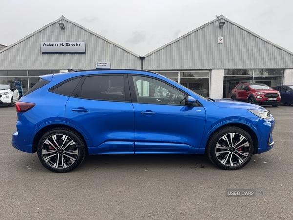 Used Ford Kuga 2024 for sale - 76271248: Photo 6