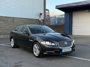 Used Jaguar XJ 2014 for sale - 78064533: Photo