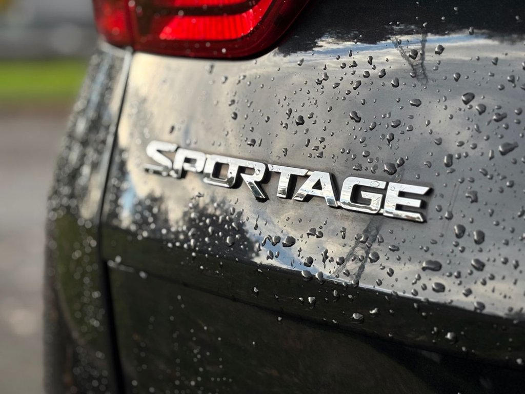 Used Kia Sportage 2016 for sale - 76615622: Photo 31