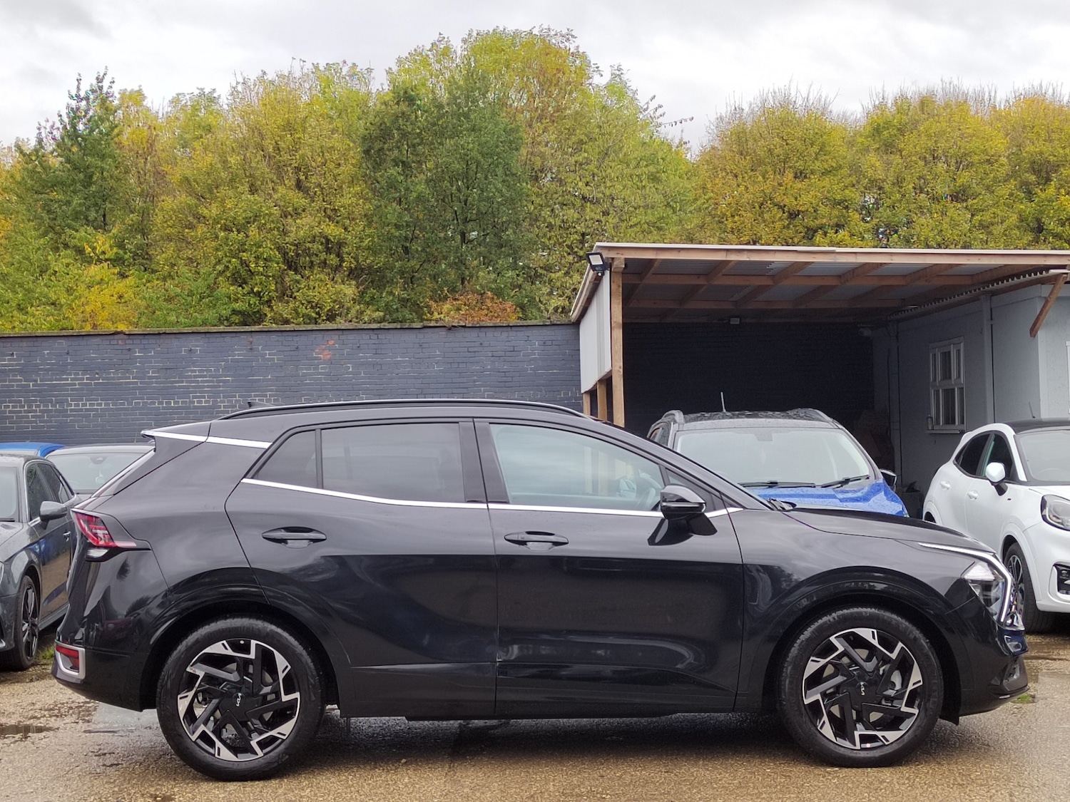 Used Kia Sportage 2024 for sale - 76353713: Photo 5