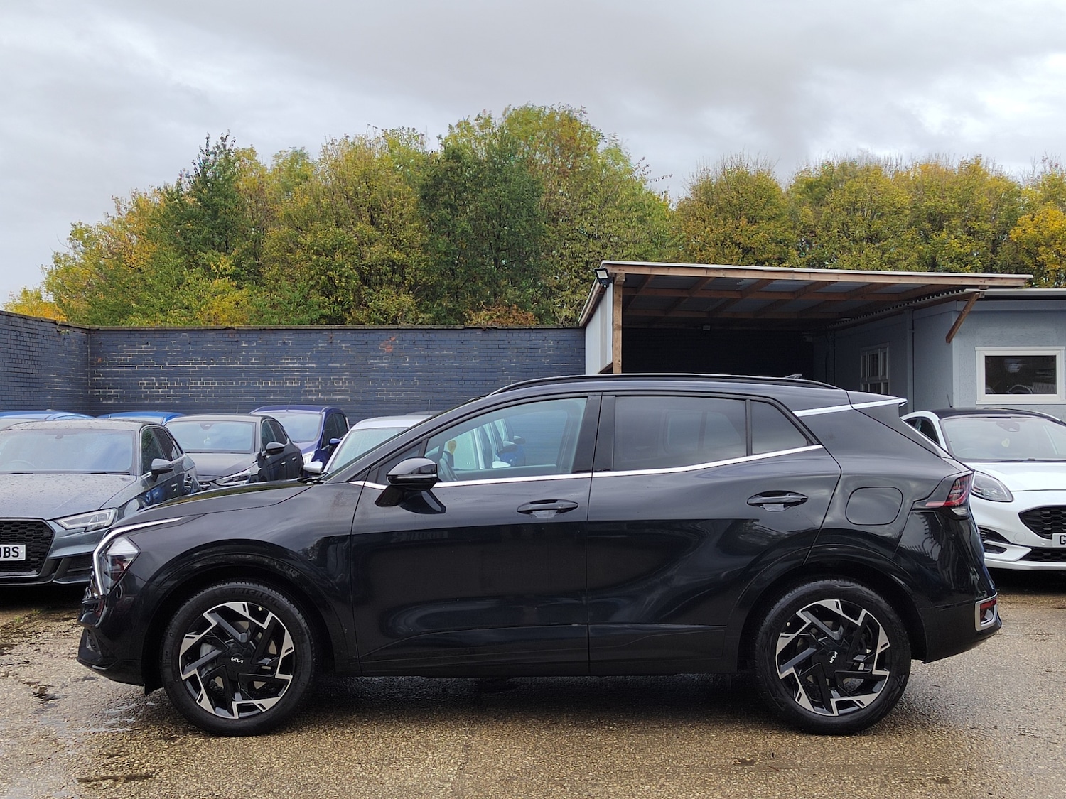 Used Kia Sportage 2024 for sale - 76353713: Photo 6