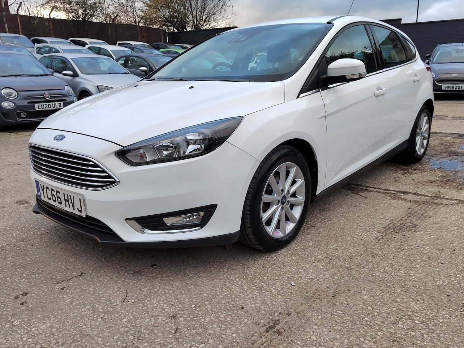 Used Ford Focus 2016 for sale - 76908201: Photo 5