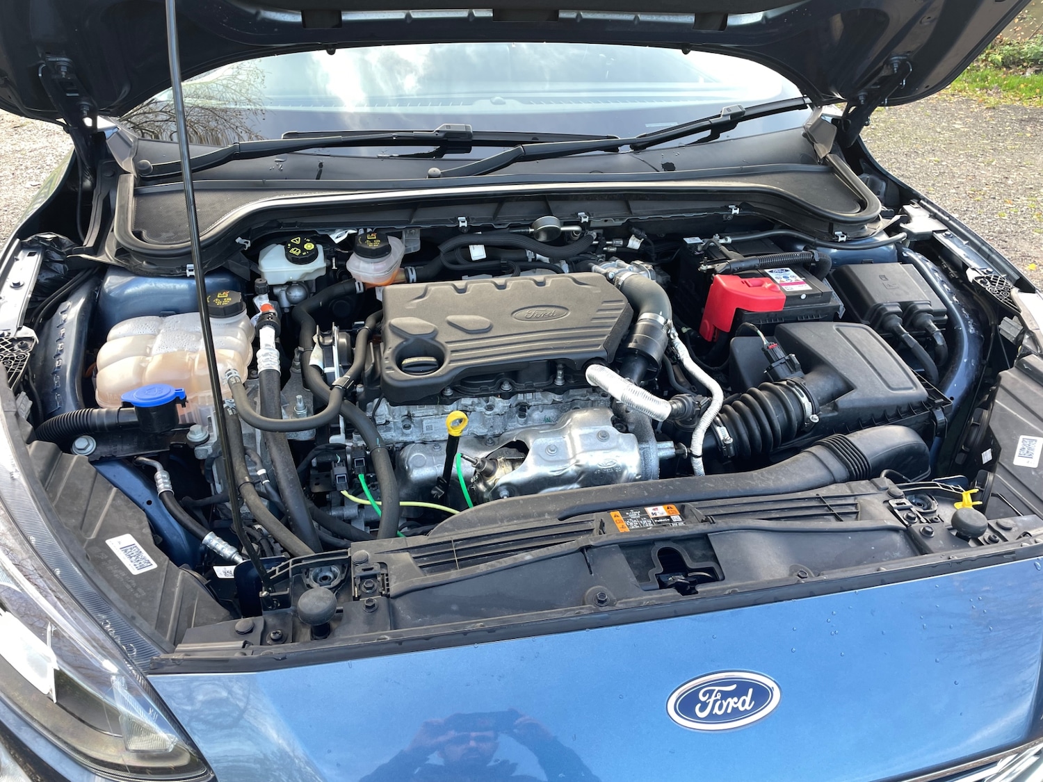 Used Ford Focus 2021 for sale - 76556671: Photo 19