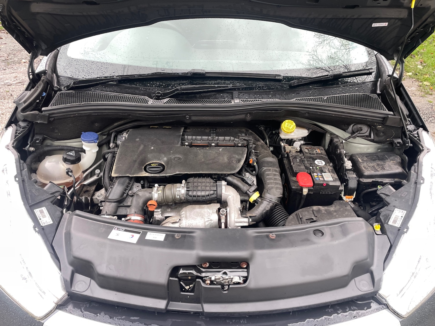 Used Peugeot 208 2017 for sale - 76588266: Photo 19