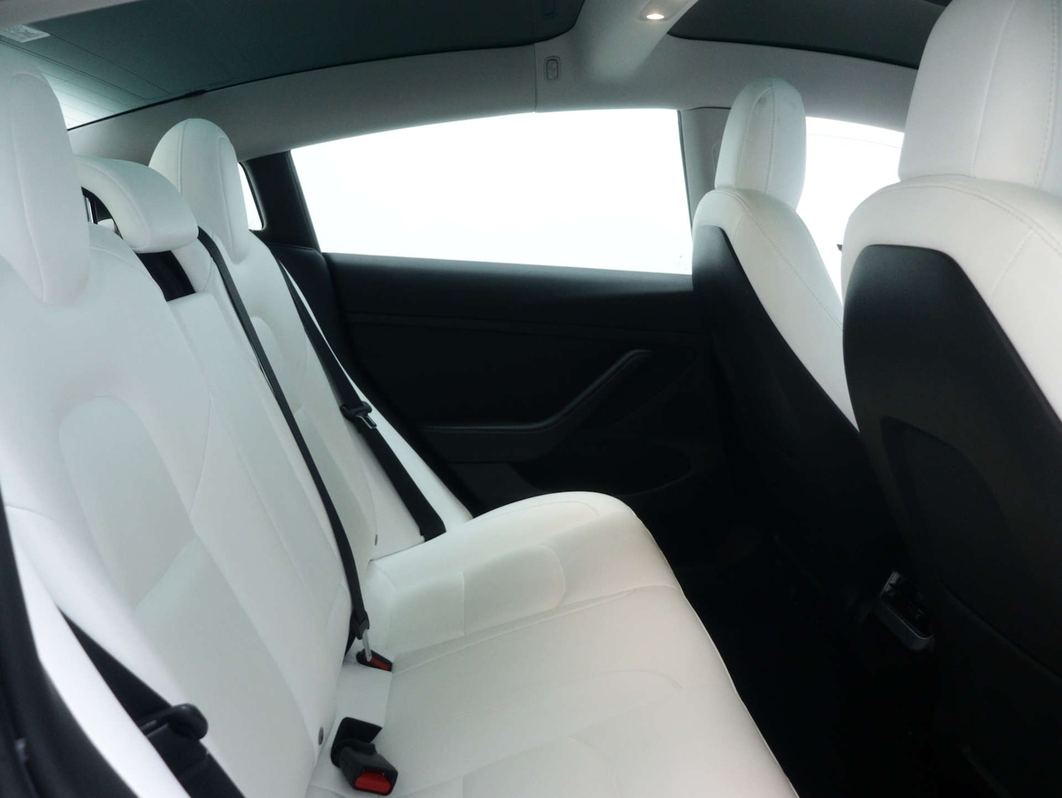 Used Tesla Model 3 2021 for sale - 77087305: Photo 48