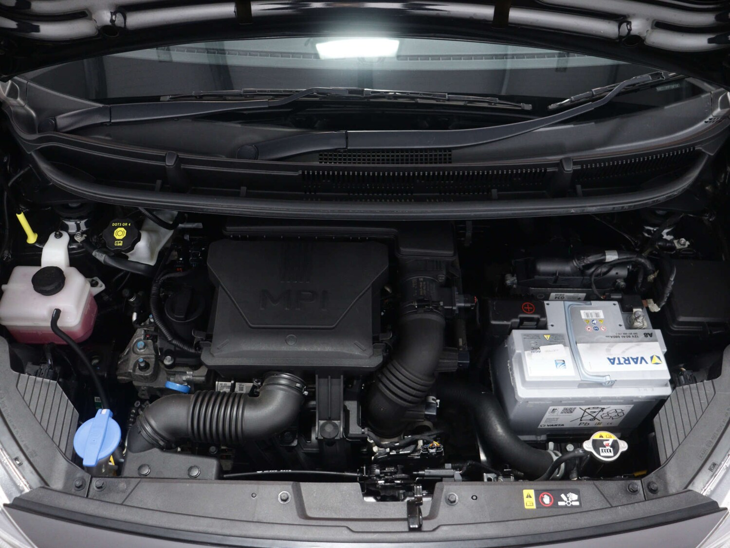 Used Kia Picanto 2023 for sale - 76035974: Photo 49