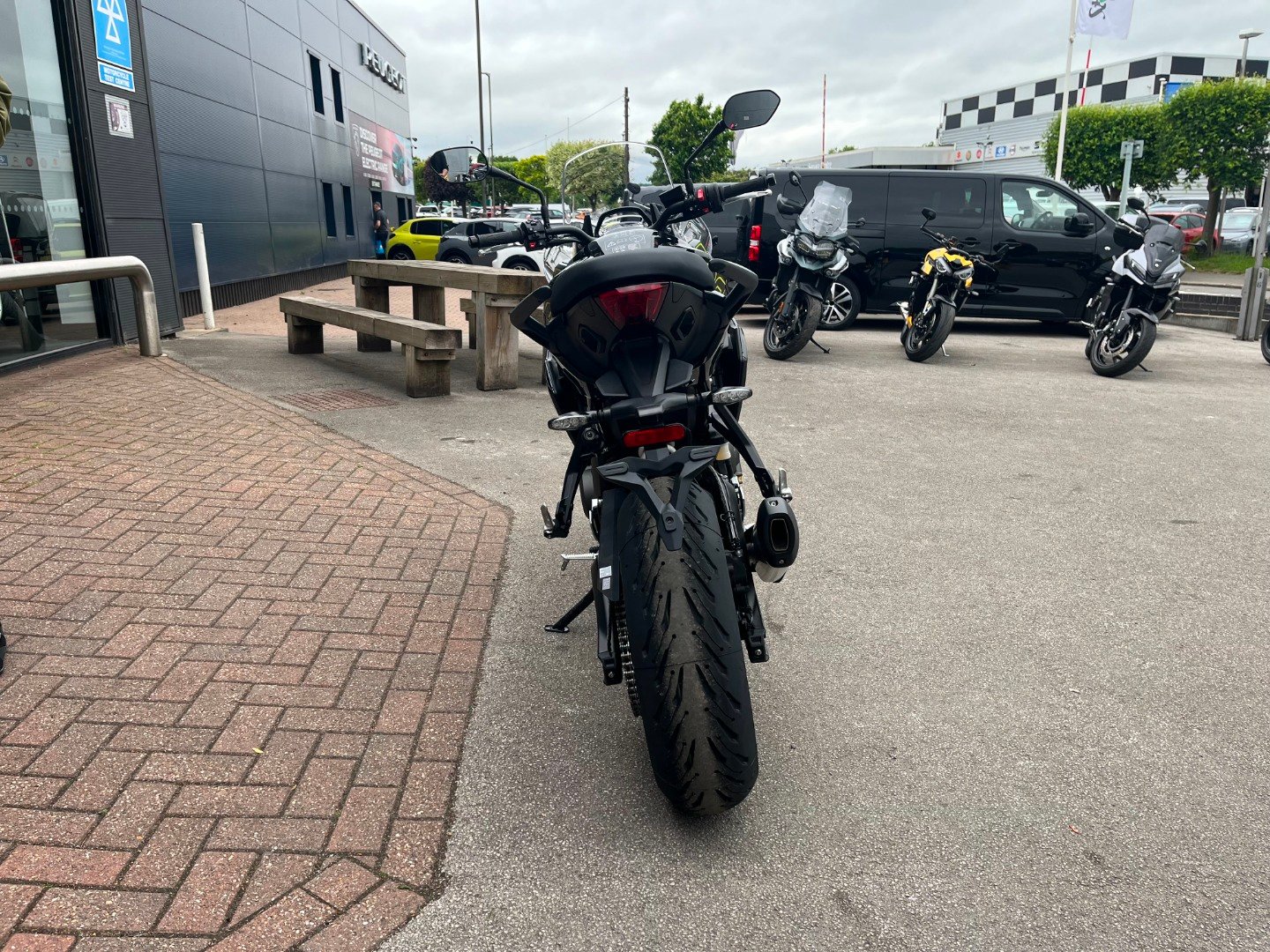 Triumph TIGER SPORT 800