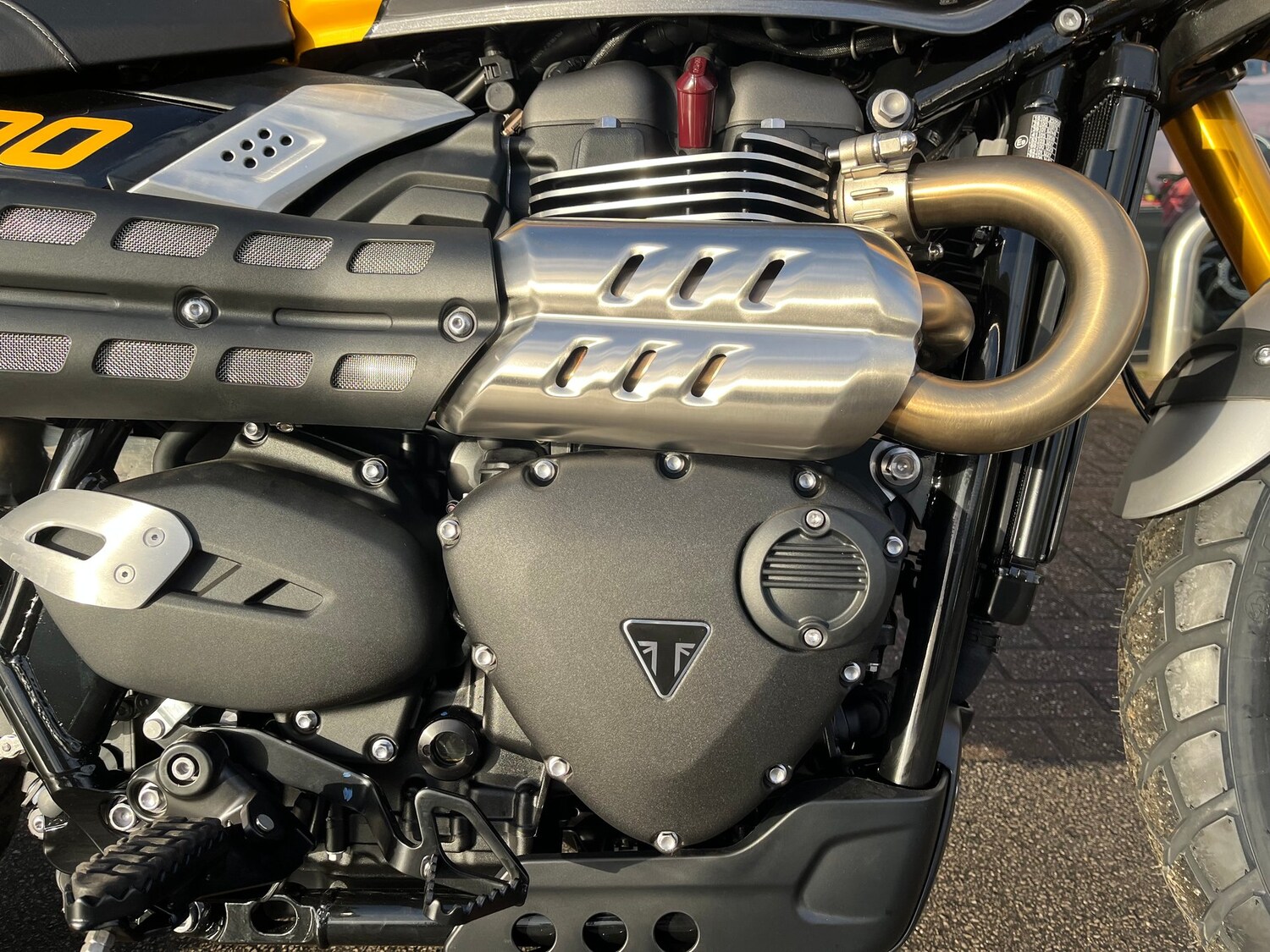 Triumph SCRAMBLER 900