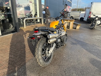 Used Triumph SCRAMBLER 900 undefined for sale - bike-78112415: Photo