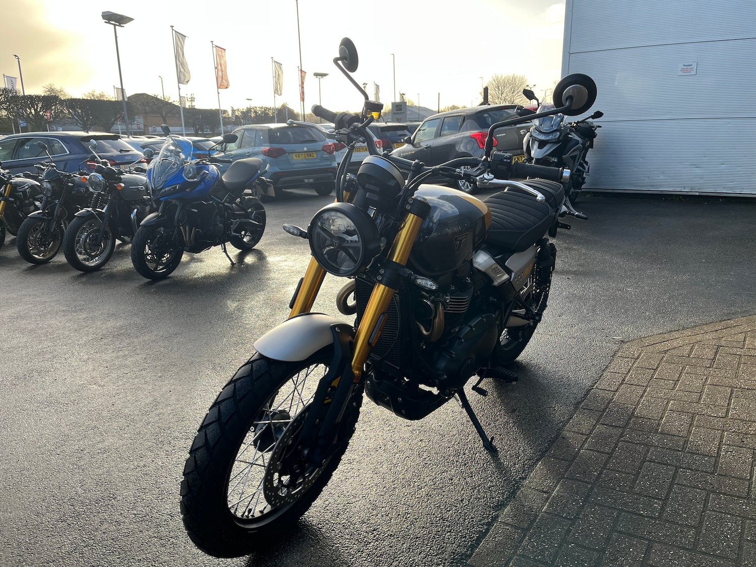 Triumph SCRAMBLER 900