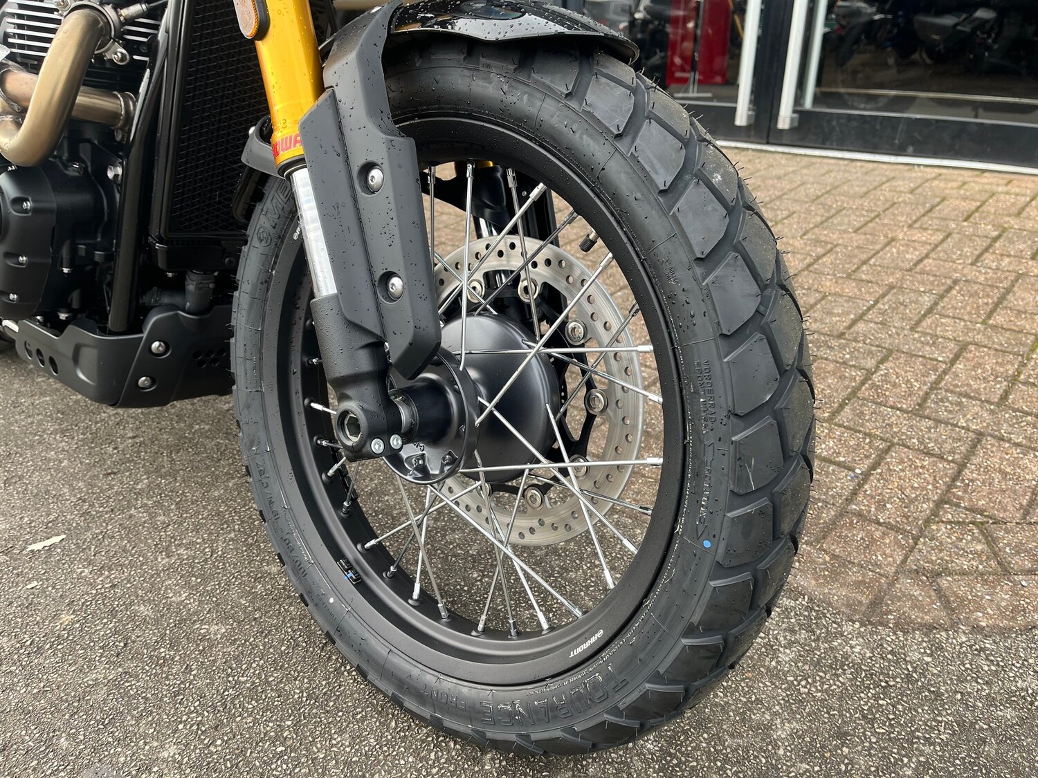 Triumph SCRAMBLER 900