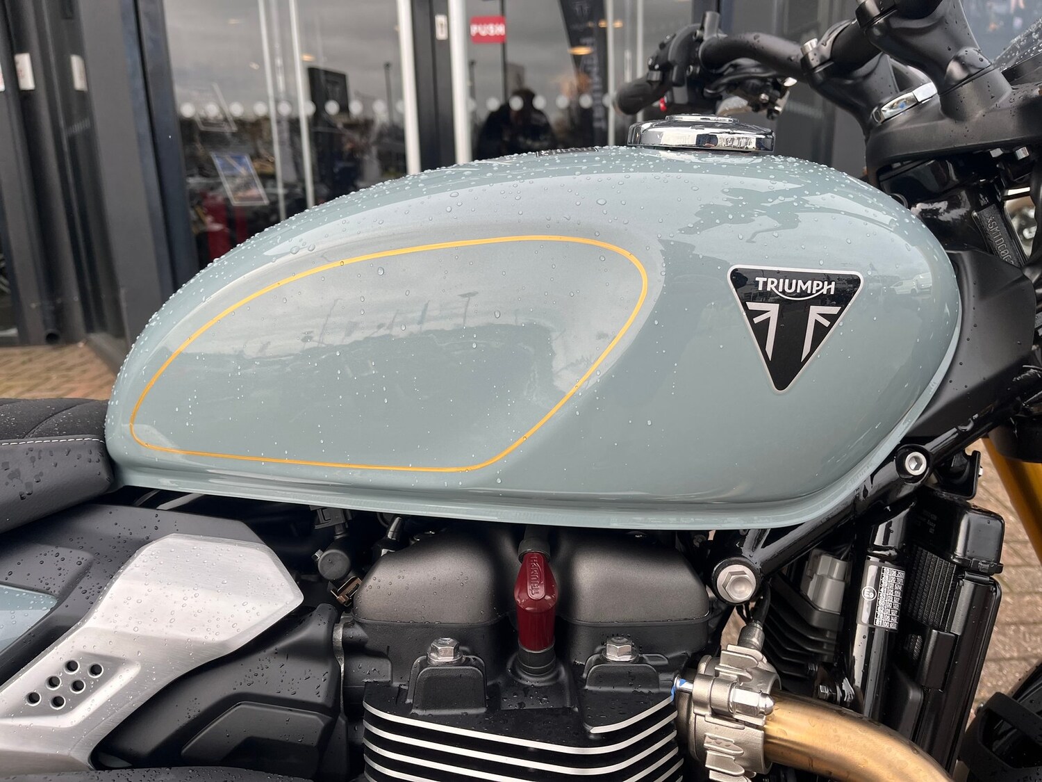 Triumph SCRAMBLER 900