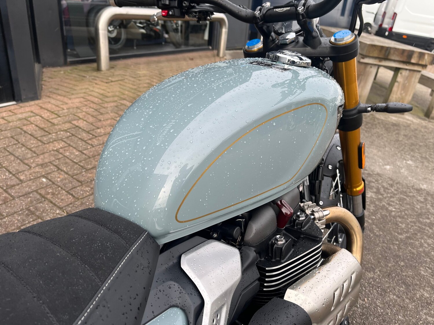 Triumph SCRAMBLER 900