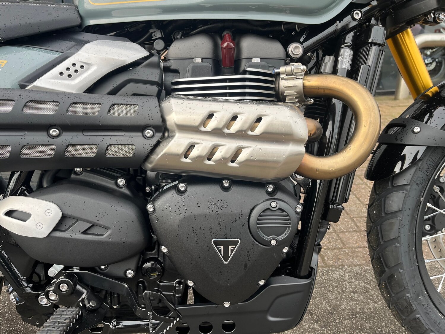 Triumph SCRAMBLER 900