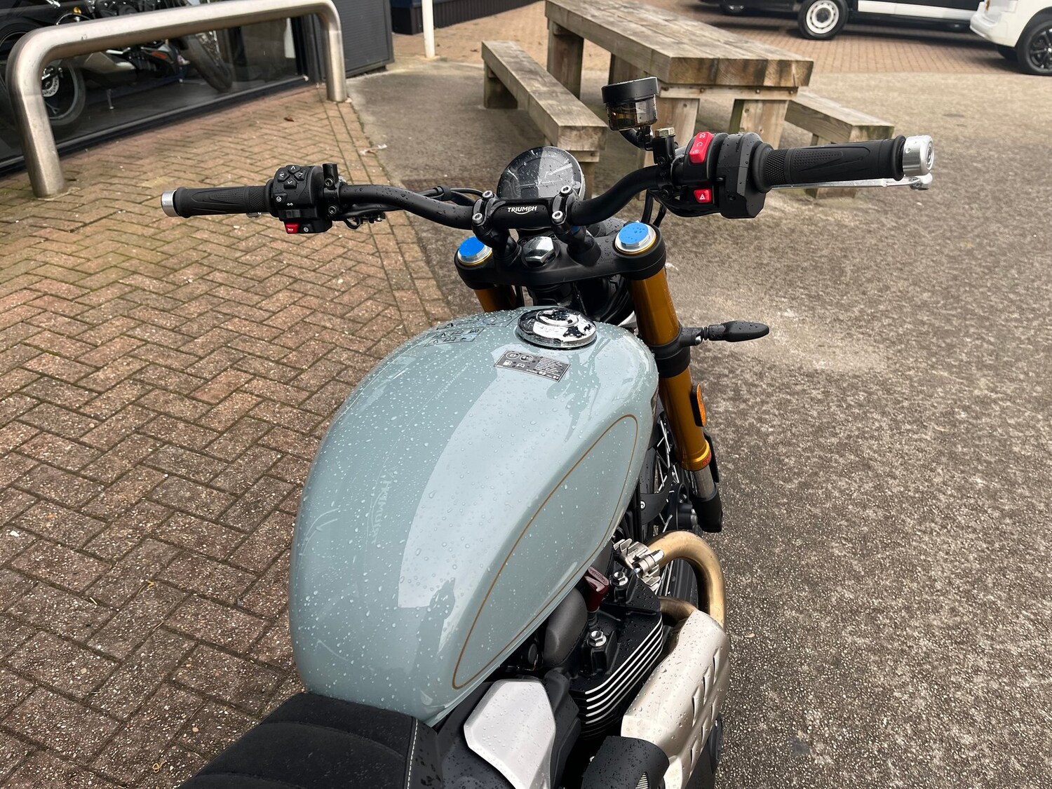 Triumph SCRAMBLER 900